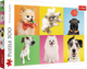 Puzzle Trefl Psy 500 elementów (5900511373783) - obraz 1