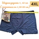 Мужские трусы Набор 3шт 4XL большие размеры боксеры однотонные тонкая резинка модал Берак Турция BERRAK 4488 - изображение 2