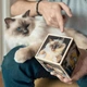 Фотокуб трансформер для світлин DIY дерев'яний колаж настільний креативний подарунок власного виготовлення 8 × 8 см - зображення 3