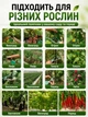Тапенер для підв'язки рослин зі стрічкою, ручний підв'язувач для винограду, томатів і огірків степлер для рослин - зображення 5