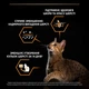 Сухой корм для взрослых кошек Purina Pro Plan Adult 1+ Derma Care для поддержания здоровья кожи и красоты шерсти с лососем 1.5 кг - изображение 5