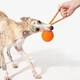 Інтерактивна іграшка для собак Cheerble Wicked Ball Air Rope Bright Orange (CWQ03O) - зображення 3