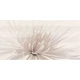Декор Opoczno Avangarde Centro Flower 29,7x60 см - изображение 1
