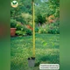 Керрия японская Пленифлора (Kerria japonica Pleniflora) Р9 - изображение 3
