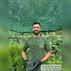 Саженцы Пираканты Ред Колумн (Pyracantha coccinea Red Column) Р9 - изображение 3