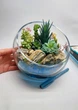 Круглый флорариум с живыми суккулентами и водоемом "Летняя ночь", D=18 см. Подарок для дома, живые суккуленты - изображение 5