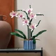 Конструктор Botanicals: Орхидея (Orchid) 608 деталей — Модель 10311 - изображение 3
