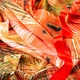Ткань трикотаж Animal IDEIA 260 гр/м2 150 см, трикотаж для платьев, блузок и вечерней одежды коралл м.п. - изображение 5