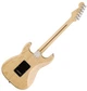 Електрогітара Fender American Professional Stratocaster SSS MN Natural (225929) - зображення 2