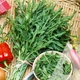 Рукола Пронто, 10 г, Садиба - зображення 3