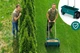 Siewnik do trawy Plonos PL-980 (498000) - obraz 11