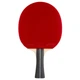 Ракетка для настольного тенниса Banda by Stiga Allround Future System FL Black/Red (1073-931947) - изображение 2