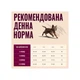 Корм сухой Carnilove Active Salmon & Turkey Kitten для котят, лосось и индейка 400 г - изображение 2