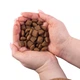 Nature's Protection Superior Care White Dogs Grain Free Insect All Sizes&Life Сухой беззерновой корм для собак с протеином насекомых, 10 кг. - изображение 4