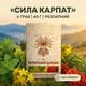 Чай Карпатський бальзам 40 г - зображення 1