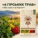 Чай Карпатський бальзам 40 г - зображення 3