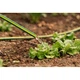 Поливочный шланг 2E AquaFlex Emerald Pro, 1/2", 30м, 4 слоя, 20бар, -10…+60°C, ороситель, 2 коннектора, адаптер (2E-GHE12ED30) - изображение 6