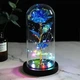 Вечная роза в колбе Love Forever LED - изображение 1