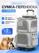 Сумка переноска для кота кошки собаки домашних животных двухместная сумка с окошком и выдвижной ручкой на колесиках колесах кошачьи сумки для переноски котов кошек маленьких собак серая (002259) - изображение 1