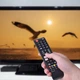 Универсальный пульт дистанционного управления для телевизора Samsung BN59-01315B, Черный - изображение 8