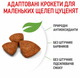 Промо-набор Полнорационный сухой корм для щенков миниатюрных пород Royal Canin SHN X-Small Puppy от 2 до 10 месяцев 400 г + 100 г (1292500793561) - изображение 4