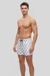 Шорты мужские для плавания HUGO Quick-Dry Swim Shorts With Logo Print R-HB-6014WT 3XL - изображение 4