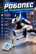 Робопес на радиоуправлении озвучивание на английском, подсветка, музыка, рассказывает истории, патрулирует, танцует, выполняет команды, программирование действий Белый (i7-196983) - изображение 1