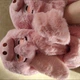 Тапочки розовые свинки с длинными ушами 39-40 - изображение 4