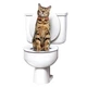 Набор для приучения кошки к туалету Citi Kitty Cat Toilet Training Kit, система приучения кошек к унитазу - изображение 2
