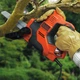Пила сабельная мережева BLACK+DECKER RS890K (500 Вт, 100 мм, 2700 об/хв) + кейс электроножовка ручная ножовка электропила (44218) - изображение 15