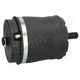 Пневмо подушка задн. Range Rover 02- JAPANPARTS MM-AS036 Land Rover Range Rover RKB000080, RKB000150, RKB000151 - зображення 1