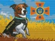 Алмазна вишивка на підрамнику ColorArt 30x40 Пес Патрон STP482 + Подарунок лак для покриття - зображення 2