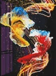 Алмазна мозаїка ColorArt 30х40 Кольорові рибки ST478 - изображение 2