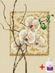 Алмазна мозаїка на підрамнику ColorArt Орхідея 30x40 STP404 + Подарунок лак для покриття - изображение 1