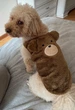 Флисовая кофта для собак Медведь с ушками S Коричневый - изображение 9