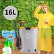 Аккумуляторный опрыскиватель, садовый Carruzzo 017EA 16 л 2в1 - изображение 5
