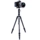 Штатив Vanguard Vesta TB 204CB (Vesta TB 204CB) - изображение 6