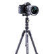 Штатив Vanguard Vesta TB 204CB (Vesta TB 204CB) - изображение 7