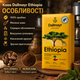 Кава мелена Dallmayr Ethiopia 500 г арабіка середнього обсмажування з квітковими та фруктовими нотками - зображення 3