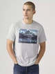 Футболка длинная хлопковая мужская Levi`s 749219726 2XL Серая с принтом (1160823575) - изображение 1