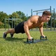 Дошка для віджимань II Gymtek G-66748 з упорами (5907766667483) - зображення 10