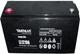 Аккумуляторная батарея Triathlon AGM Long Life Batteries LL12100 100 Ah (91010167) - изображение 2