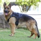 Шлея для собак Vest, тактичний жилет з ручкою і системою MOLLE, чорний L (132L-BLACK) - зображення 4