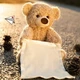 Мягкая игрушка Peekaboo Bear интерактивный плюшевый мишка 33 см с музыкальными эффектами - изображение 6