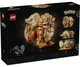 Конструктор LEGO Pok?mon Арканайн (72160) - зображення 9