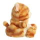 М'яка іграшка Aurora Palm Pals Кошеня руде 15 см (190261K) Aurora 190261K 1023541 - зображення 3
