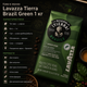 Кава в зернах Lavazza Tierra Brasile Green 1 кг купаж 70 відсотків арабіка 30 відсотків робуста середнє обсмажування - зображення 3