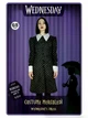 Карнавальний дитячий костюм Ciao MGM Wednesday Addams плаття Венсдей Адамс для дівчинки 140 см 6–8 років чорний (SKU-387) - зображення 7