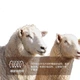 Ковдра Mercury Home Textiles зі 100% австралійської вовни, 220х240 см, весна-осінь - зображення 2