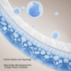 Подгузники Betis Biomimetic Vernix размер XL, 34 шт, 12-17 кг, дышащие - изображение 6